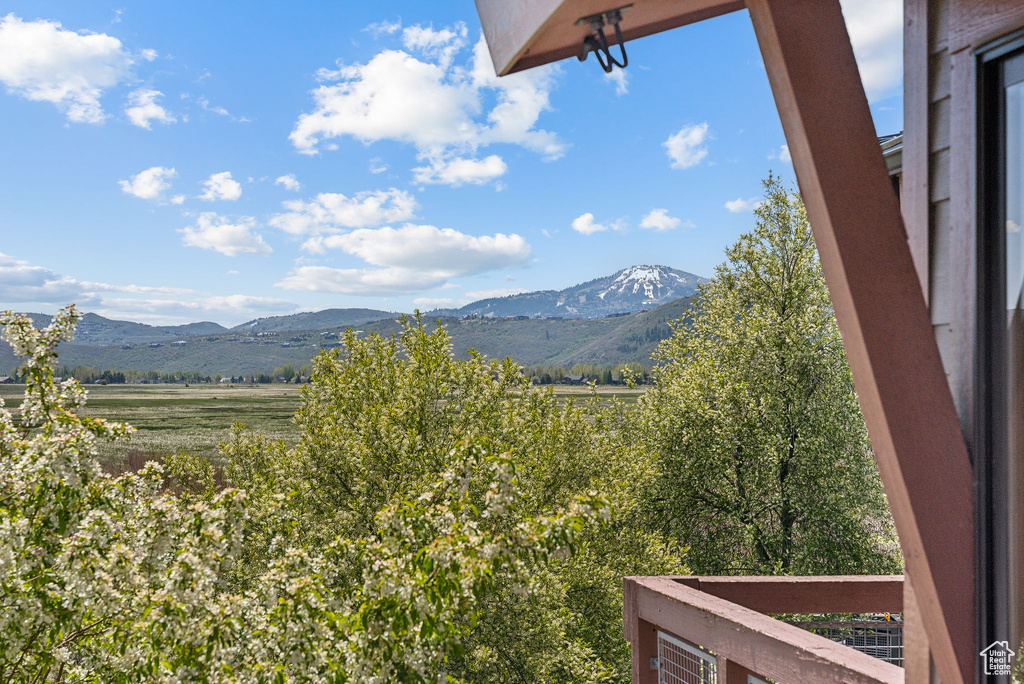 Mountain view