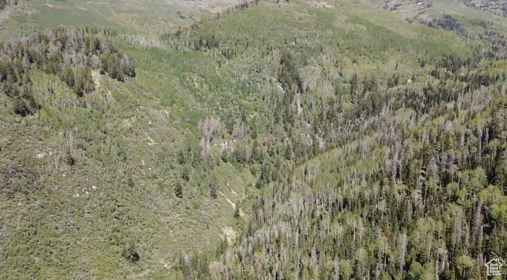 Aerial view of property\'s location with a heavily wooded area and a mountain backdrop