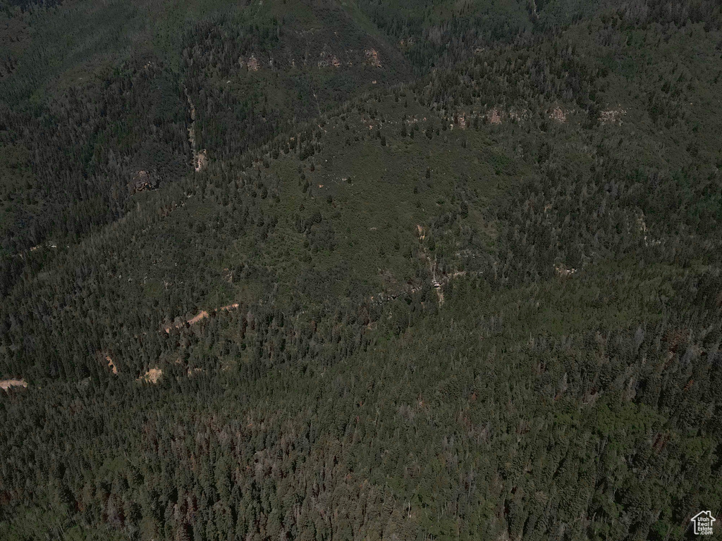 Aerial overview of property\'s location featuring a heavily wooded area