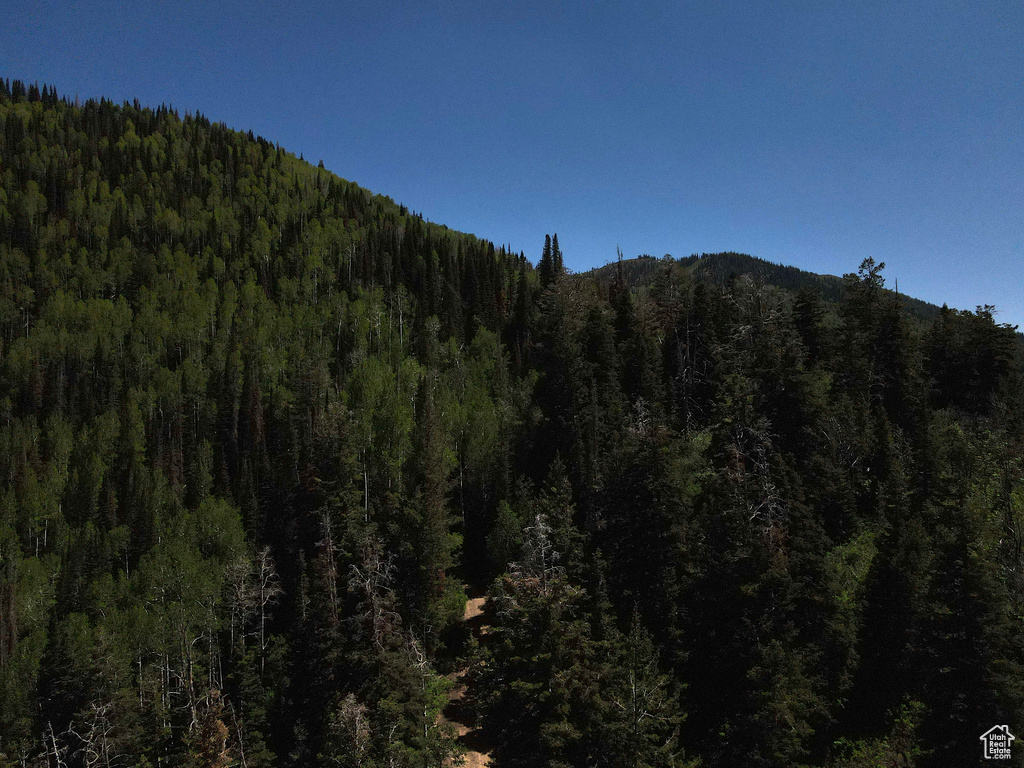 Mountain view featuring a forest
