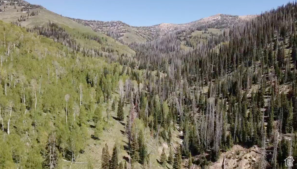 View of mountain backdrop featuring a forest