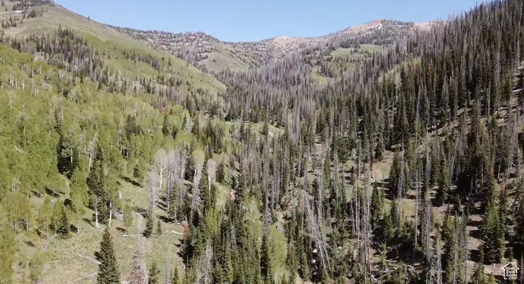 Mountain view featuring a heavily wooded area