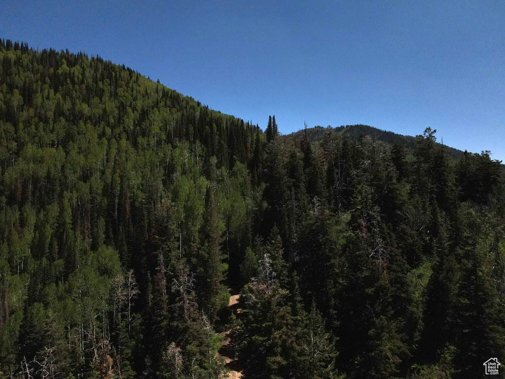Mountain view featuring a forest