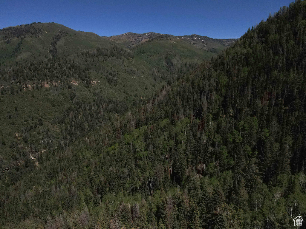 View of mountain backdrop featuring a heavily wooded area