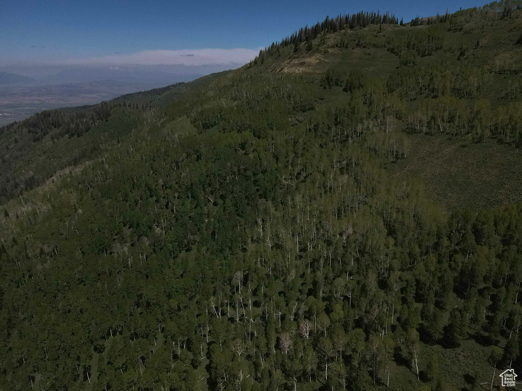 View of mountain backdrop featuring a forest