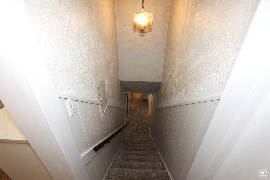 Staircase featuring carpet flooring and a wainscoted wall