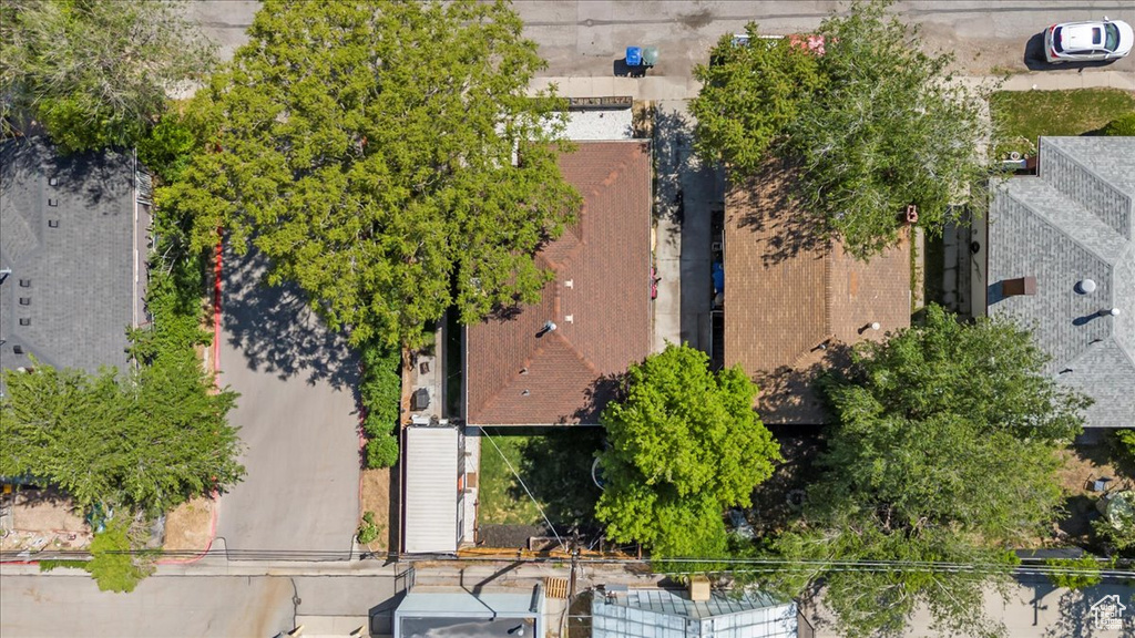 Bird\'s eye view