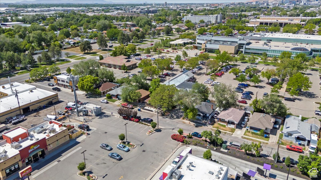 Bird\'s eye view