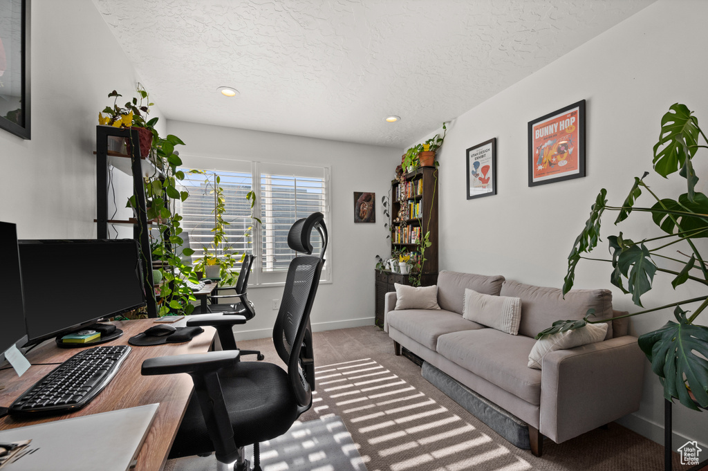Carpeted office space featuring a textured ceiling, baseboards, and recessed lighting