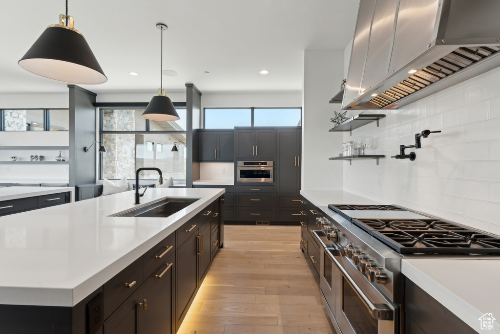 Kitchen with ventilation hood, appliances with stainless steel finishes, a sink, light countertops, and light wood-type flooring