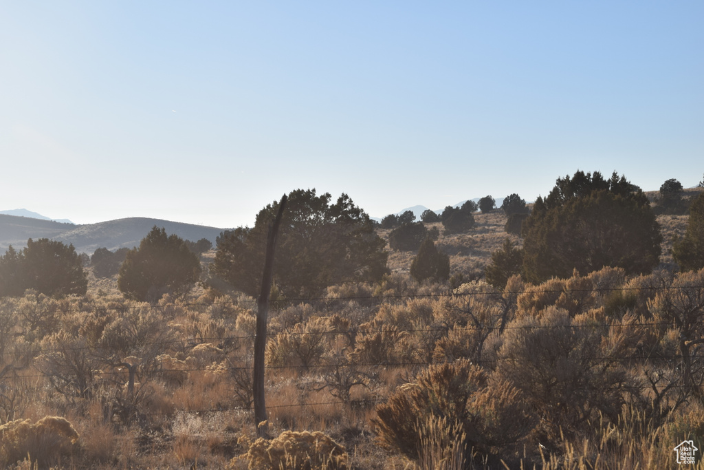 View of mountain background