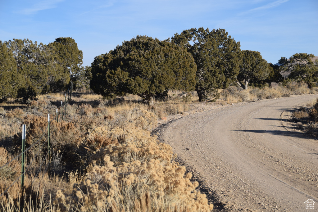 View of dirt / gravel road