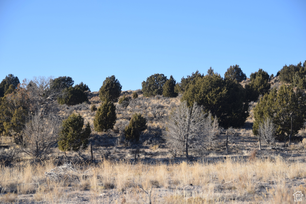 View of undeveloped land