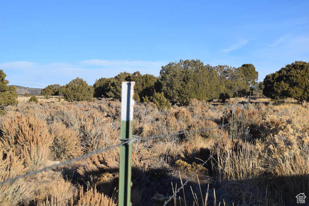 View of undeveloped land