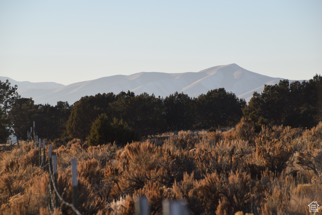 View of mountain background
