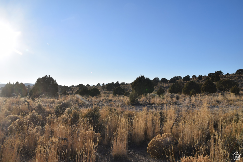View of nature
