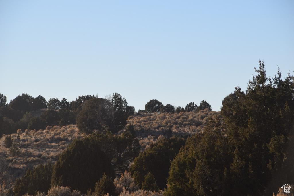View of nature