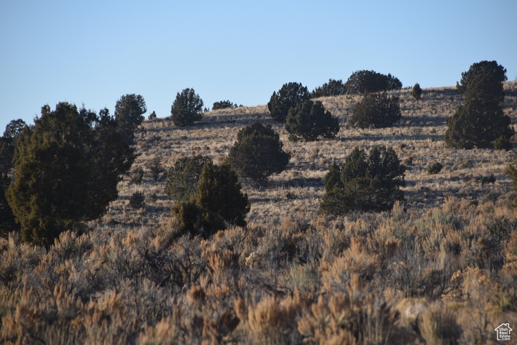 View of undeveloped land featuring rural landscape