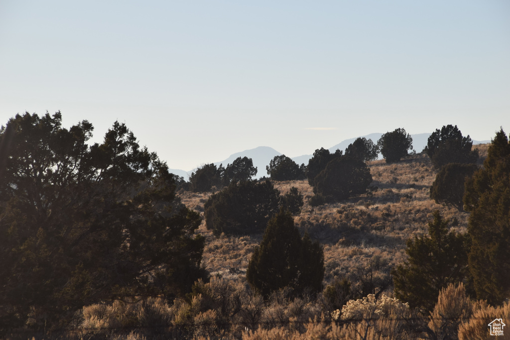 View of undeveloped land with a mountain backdrop