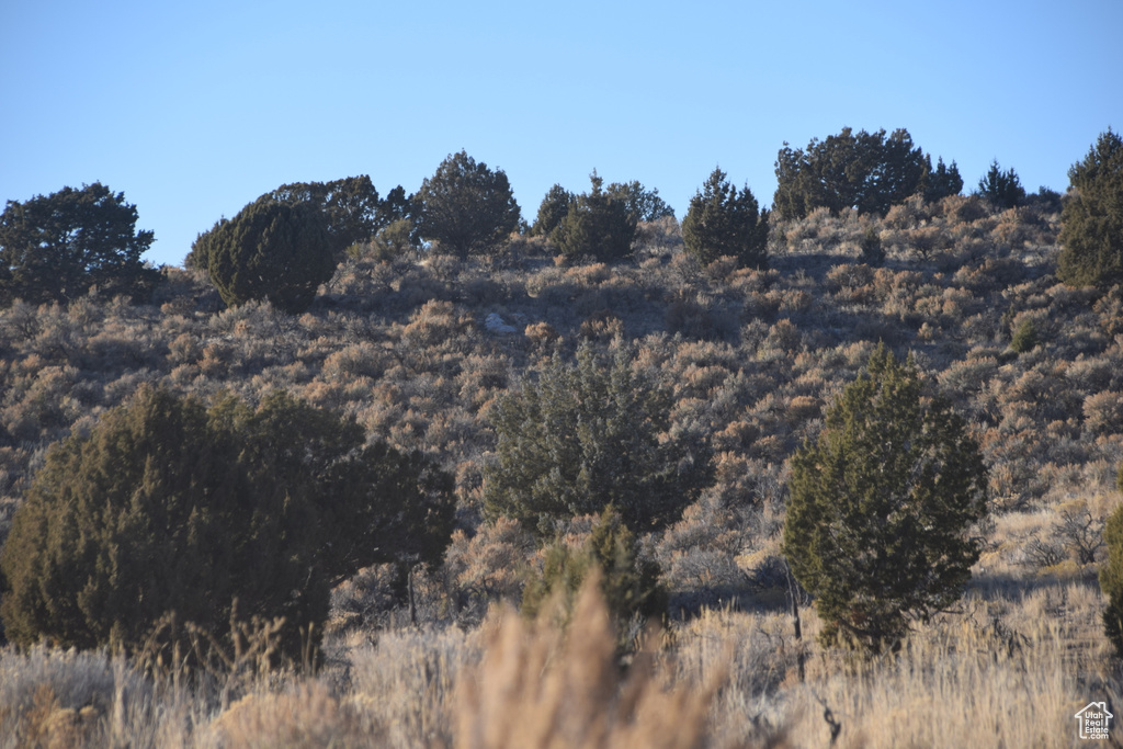 View of mountain background