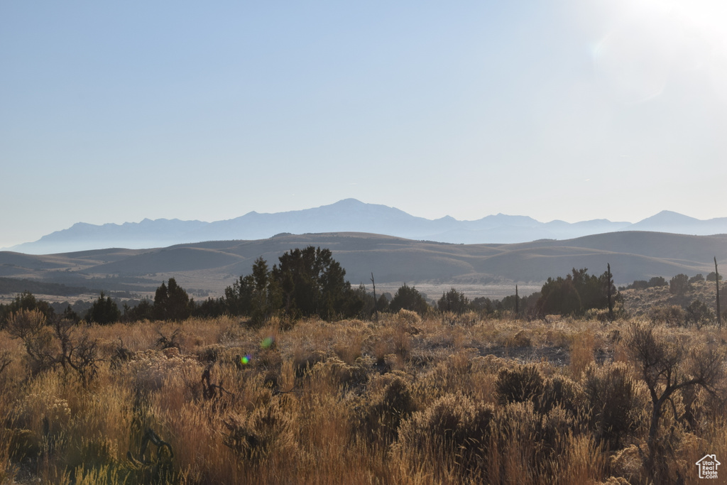 Mountain view