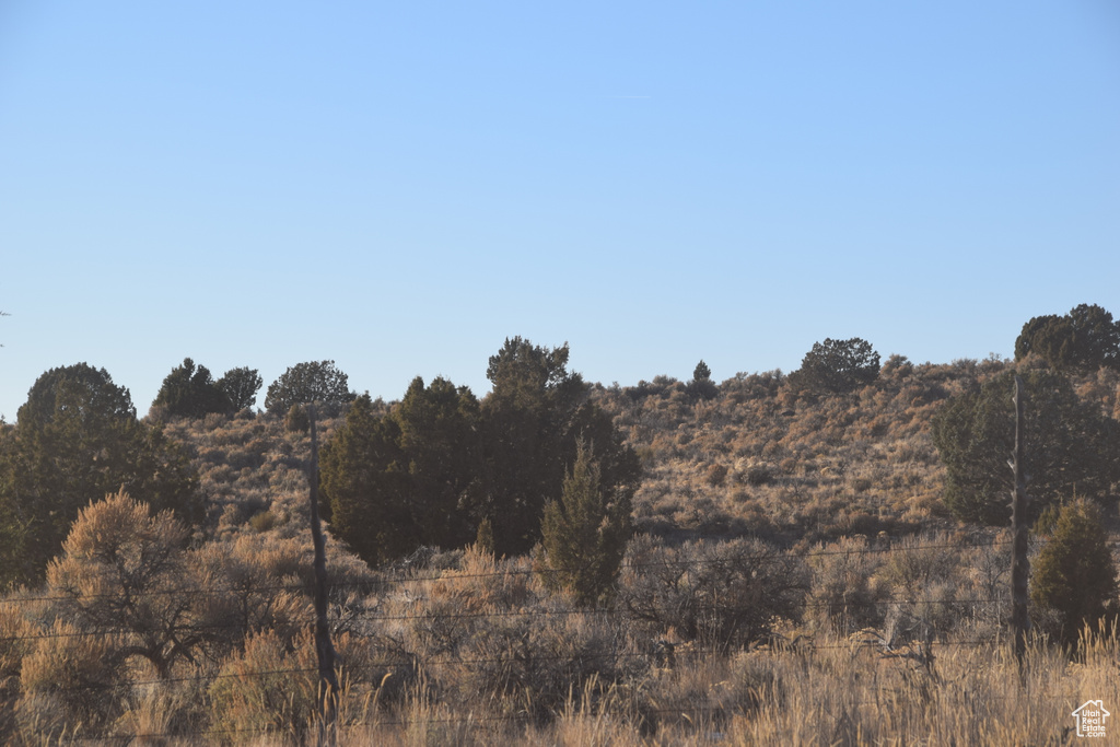 View of nature