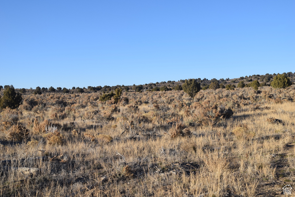 View of local wilderness