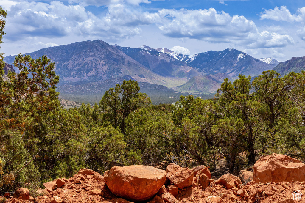 View of mountain background with a heavily wooded area
