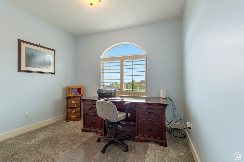 Home office with carpet and baseboards