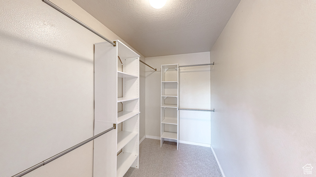 Spacious closet featuring light colored carpet