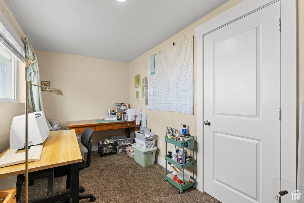 Office area featuring carpet flooring