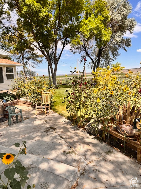 Photo 53 for MLS #2087233 at 32410 W Highway 30