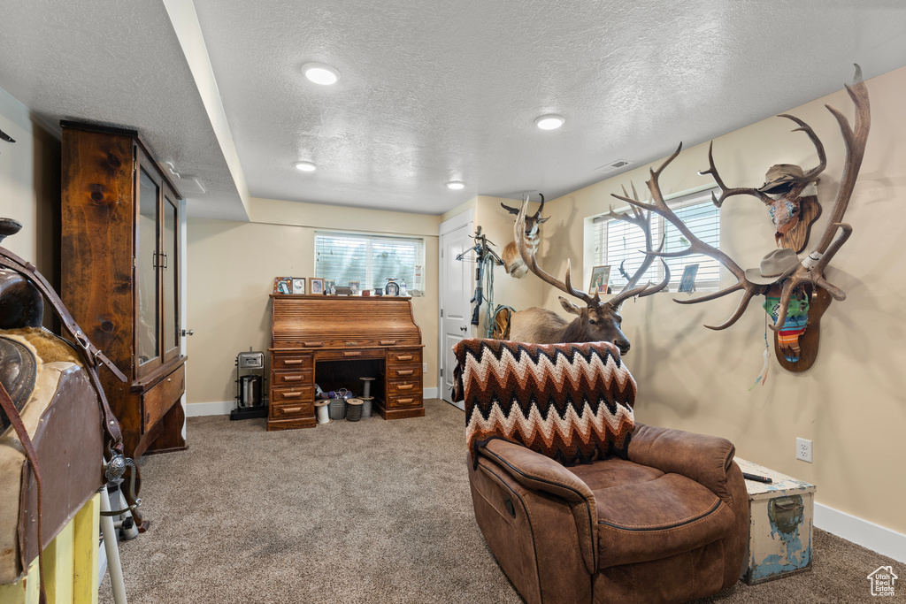 Living area with a textured ceiling, carpet, baseboards, plenty of natural light, and recessed lighting