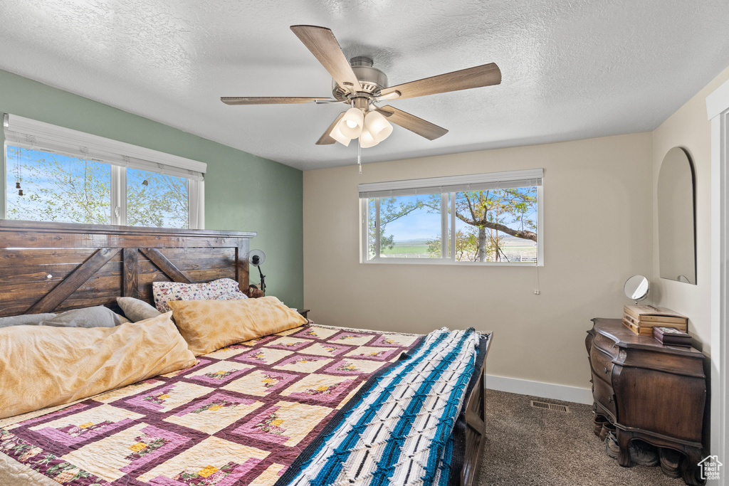 Bedroom with multiple windows, carpet floors, a textured ceiling, a ceiling fan, and baseboards