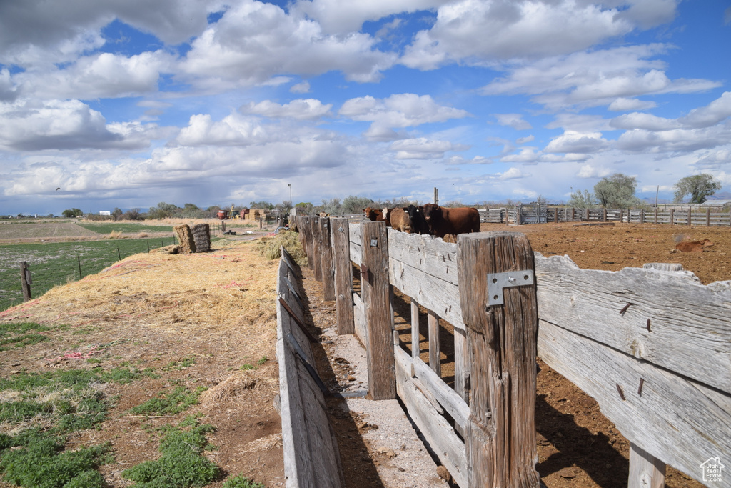 View of community with a view of rural / pastoral area