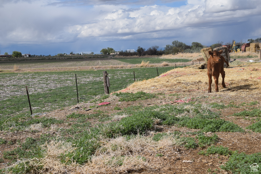 View of yard with a view of rural / pastoral area