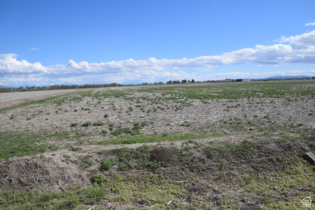 View of yard featuring a view of rural / pastoral area