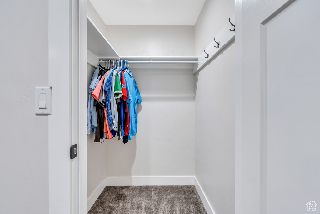 Spacious closet with carpet flooring