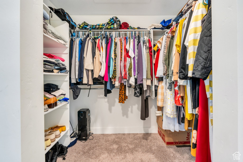 Walk in closet featuring carpet and attic access