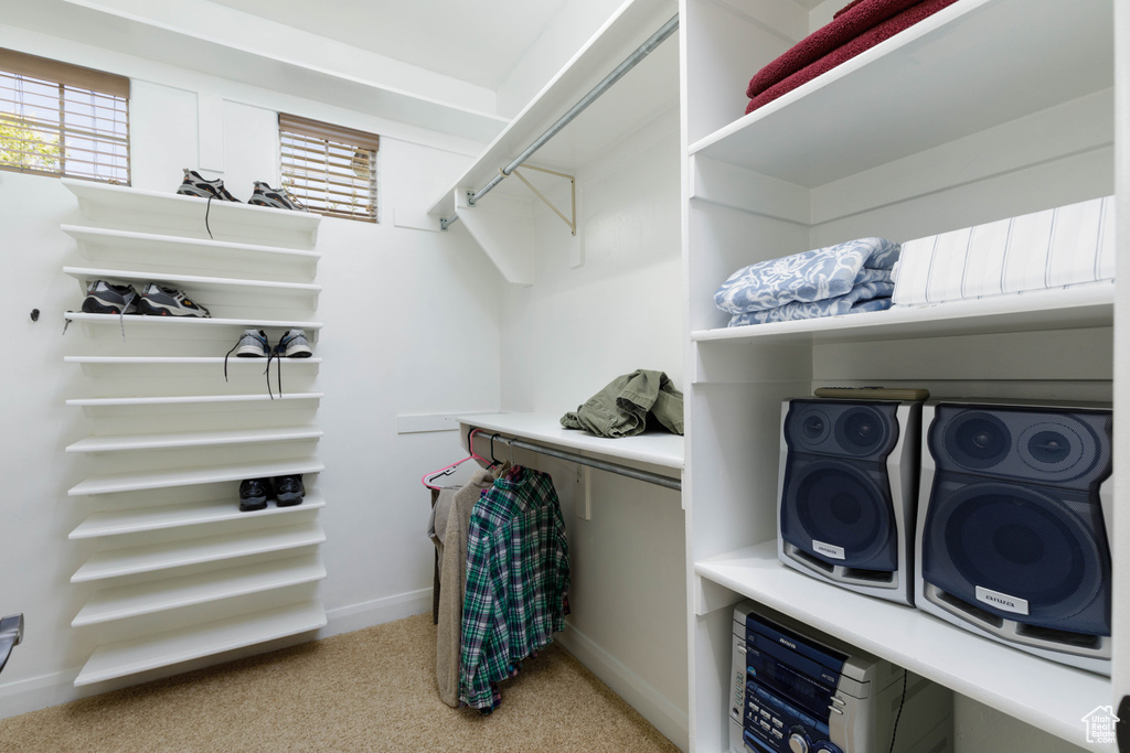 Spacious closet featuring light carpet