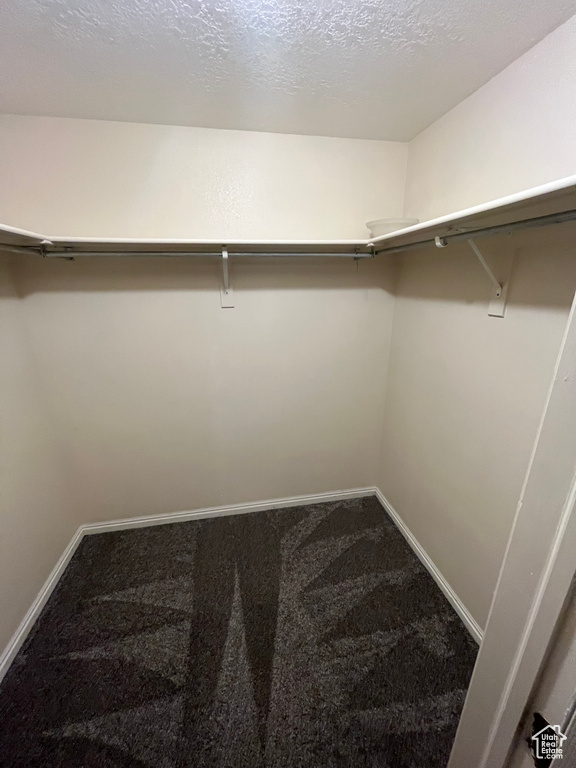 Walk in closet featuring carpet flooring