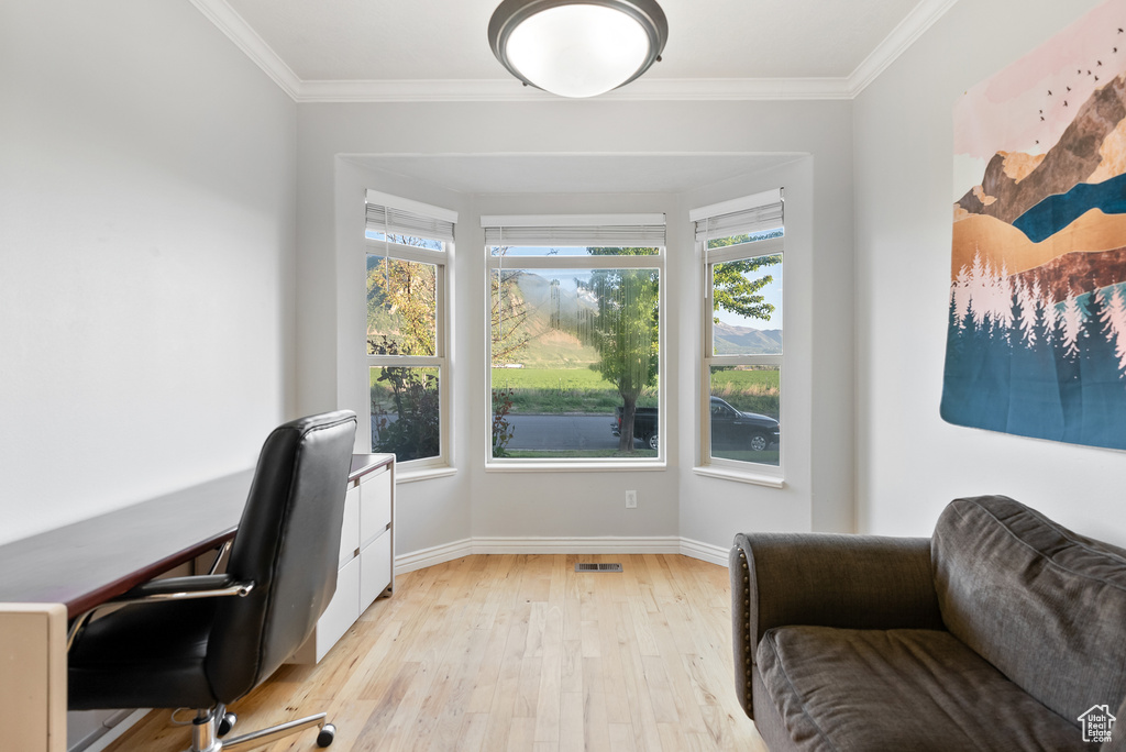 Office area featuring light wood-style floors, plenty of natural light, crown molding, and baseboards