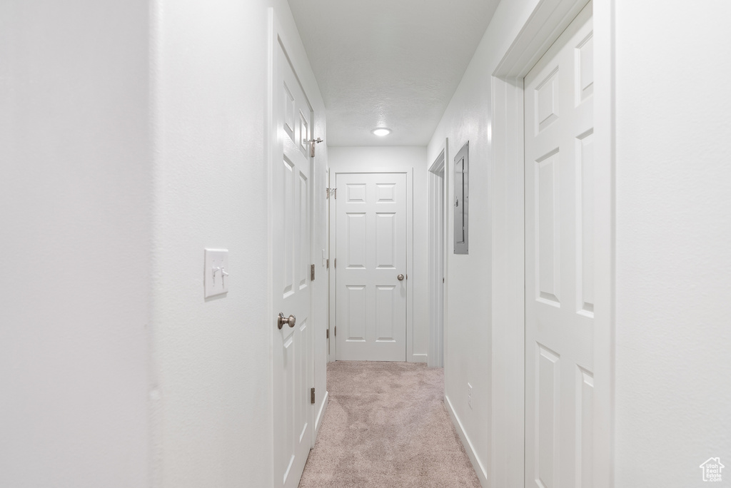 Corridor with light carpet and baseboards