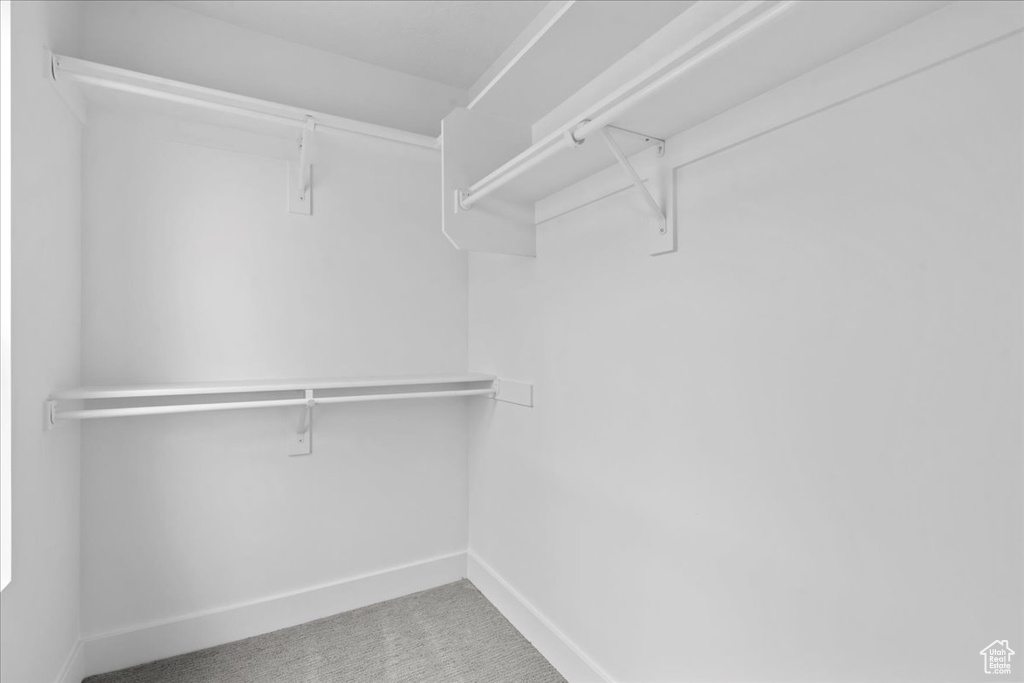 Walk in closet featuring carpet flooring