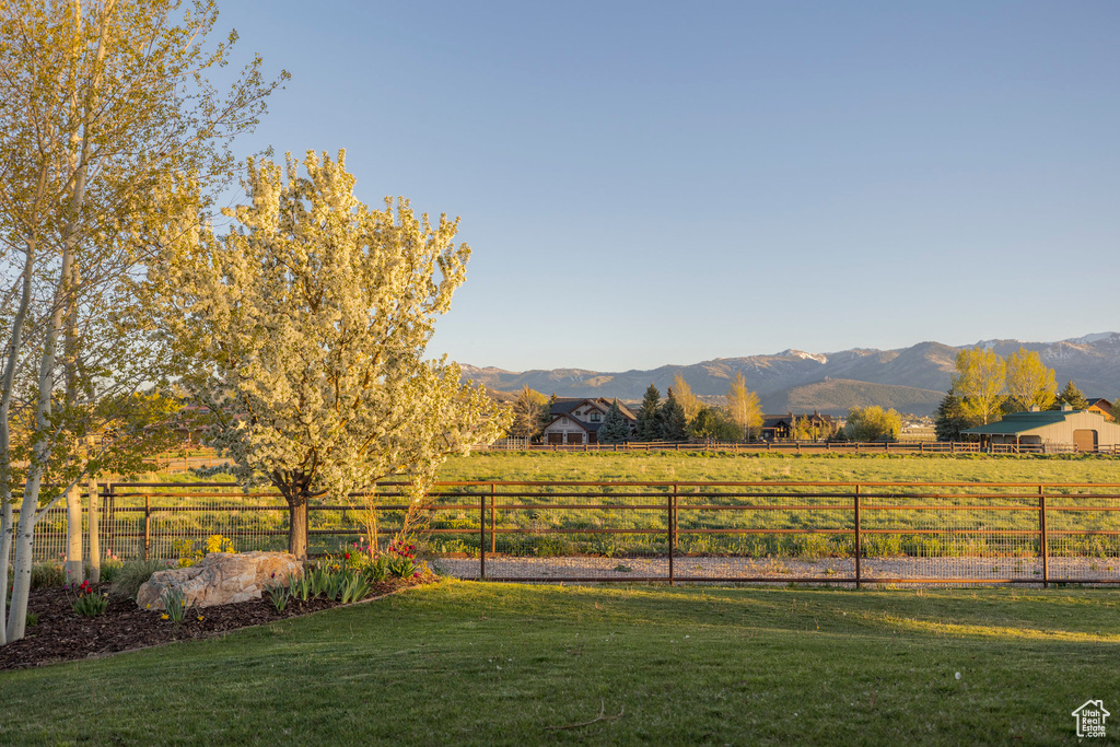 View of yard with a mountain view and a rural view