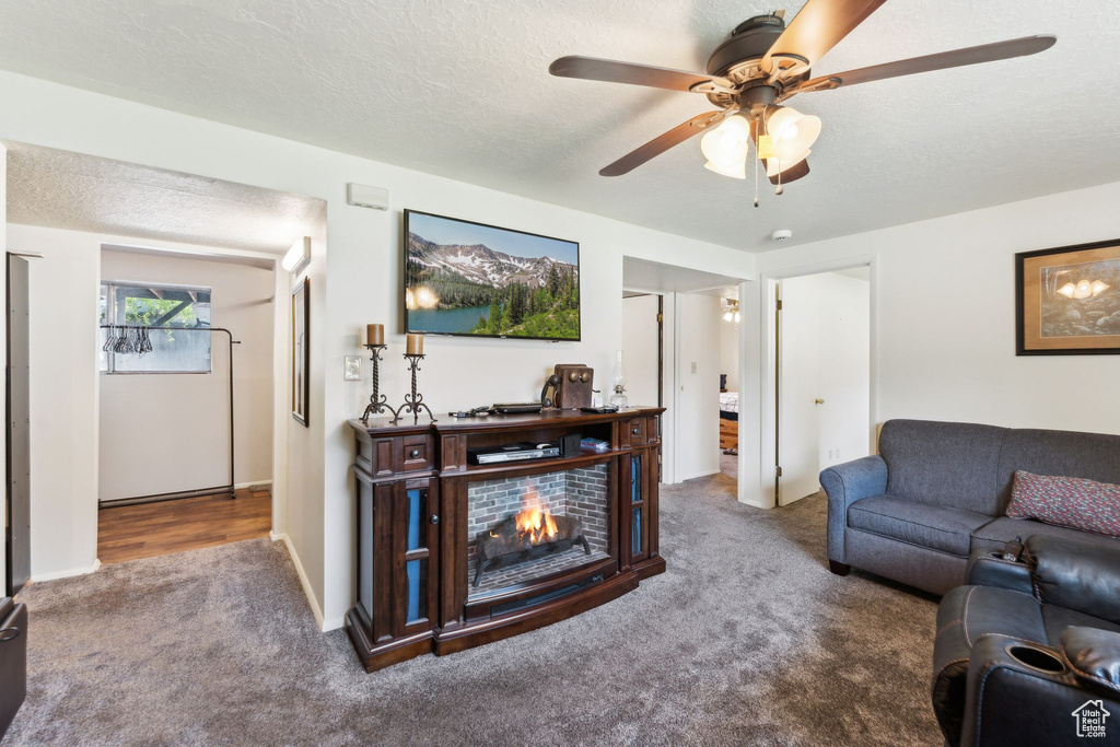 Living room with carpet, a ceiling fan, and baseboards