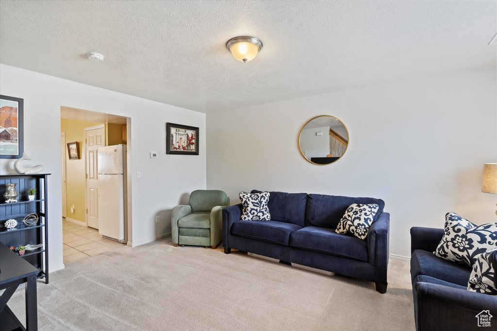 Living area with light colored carpet, a textured ceiling, and baseboards
