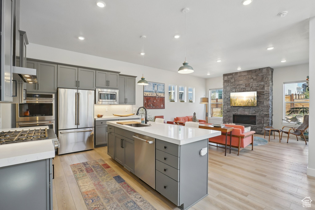 Kitchen with stainless steel appliances, a sink, gray cabinetry, healthy amount of natural light, and recessed lighting