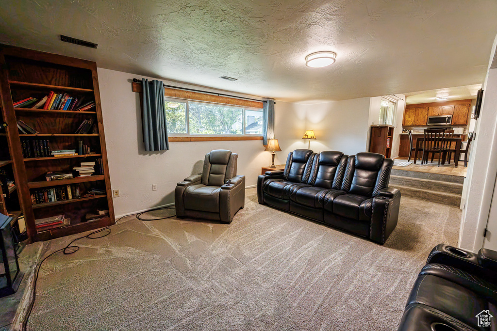 Living area with carpet and a textured ceiling