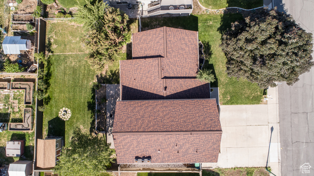 Bird\'s eye view